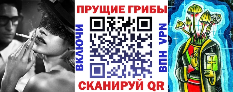 Галлюциногенные грибы Psilocybine cubensis  купить наркоту  нарко площадка наркотические препараты  Саяногорск 