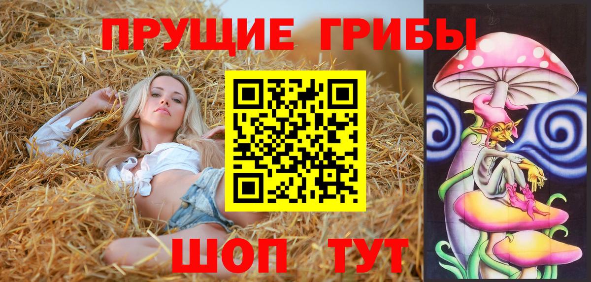 Галлюциногенные грибы ЛСД  Вход с VPN  Саяногорск  Галлюциногенные грибы Psilocybe 