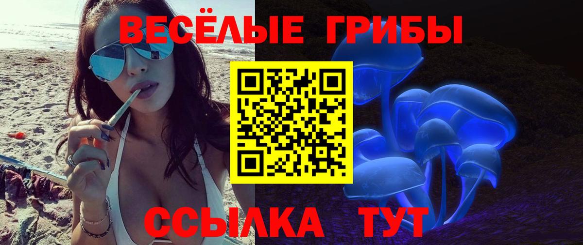 Псилоцибиновые грибы Psilocybine cubensis Саяногорск